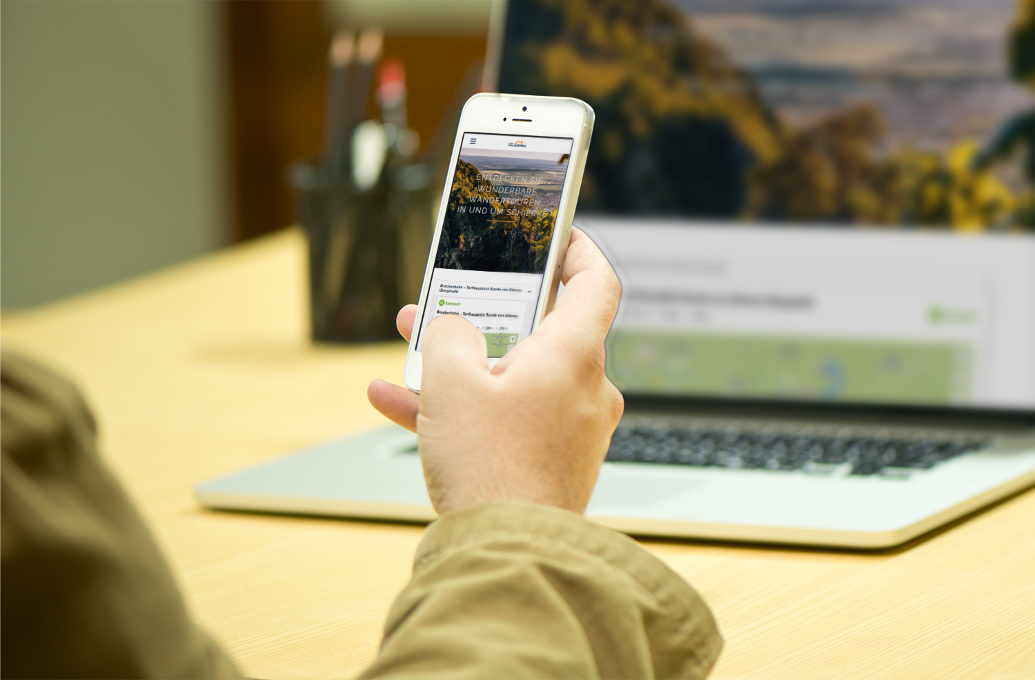 Abbildung der Webseite pension-zum-hexenstieg.de